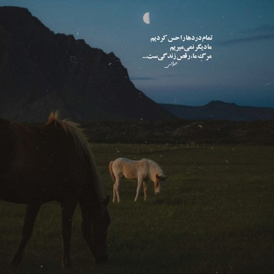 هایده بازم دلم گرفته گریم اختیاری نیست